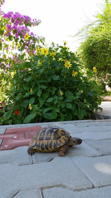 Apartments Labor Vodice Luaran gambar