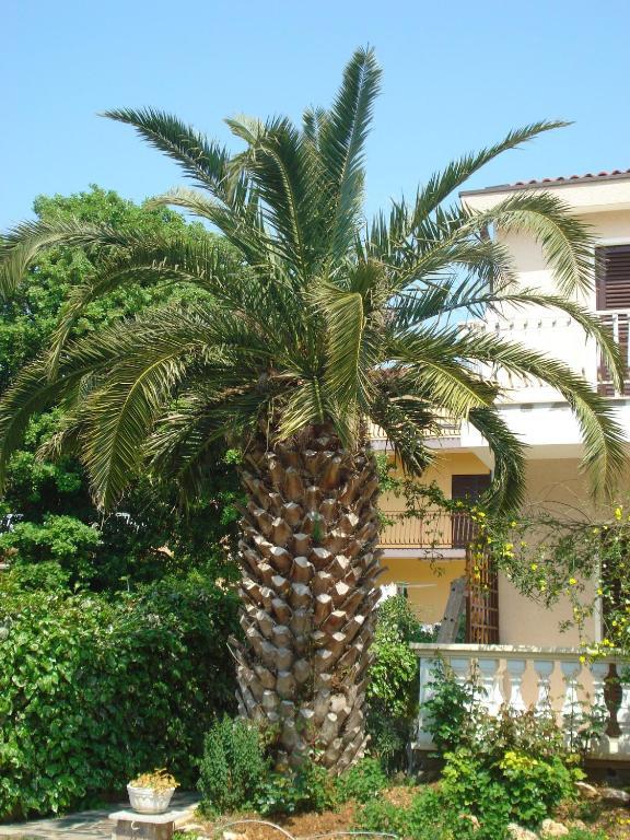 Apartments Labor Vodice Bilik gambar