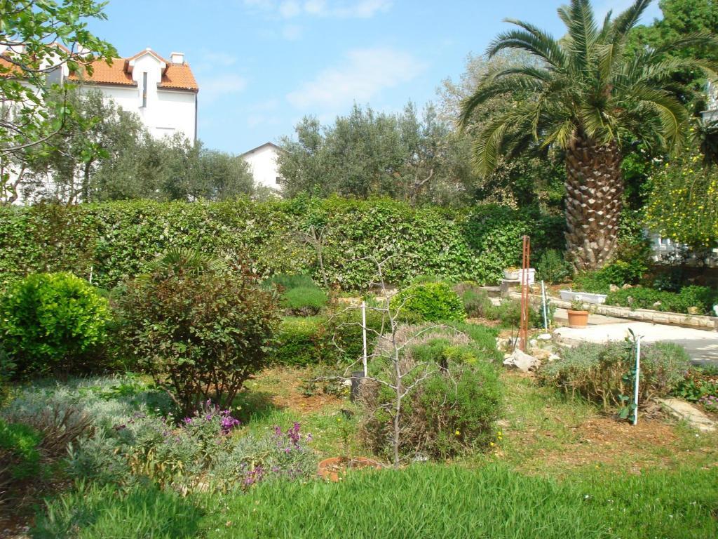 Apartments Labor Vodice Bilik gambar